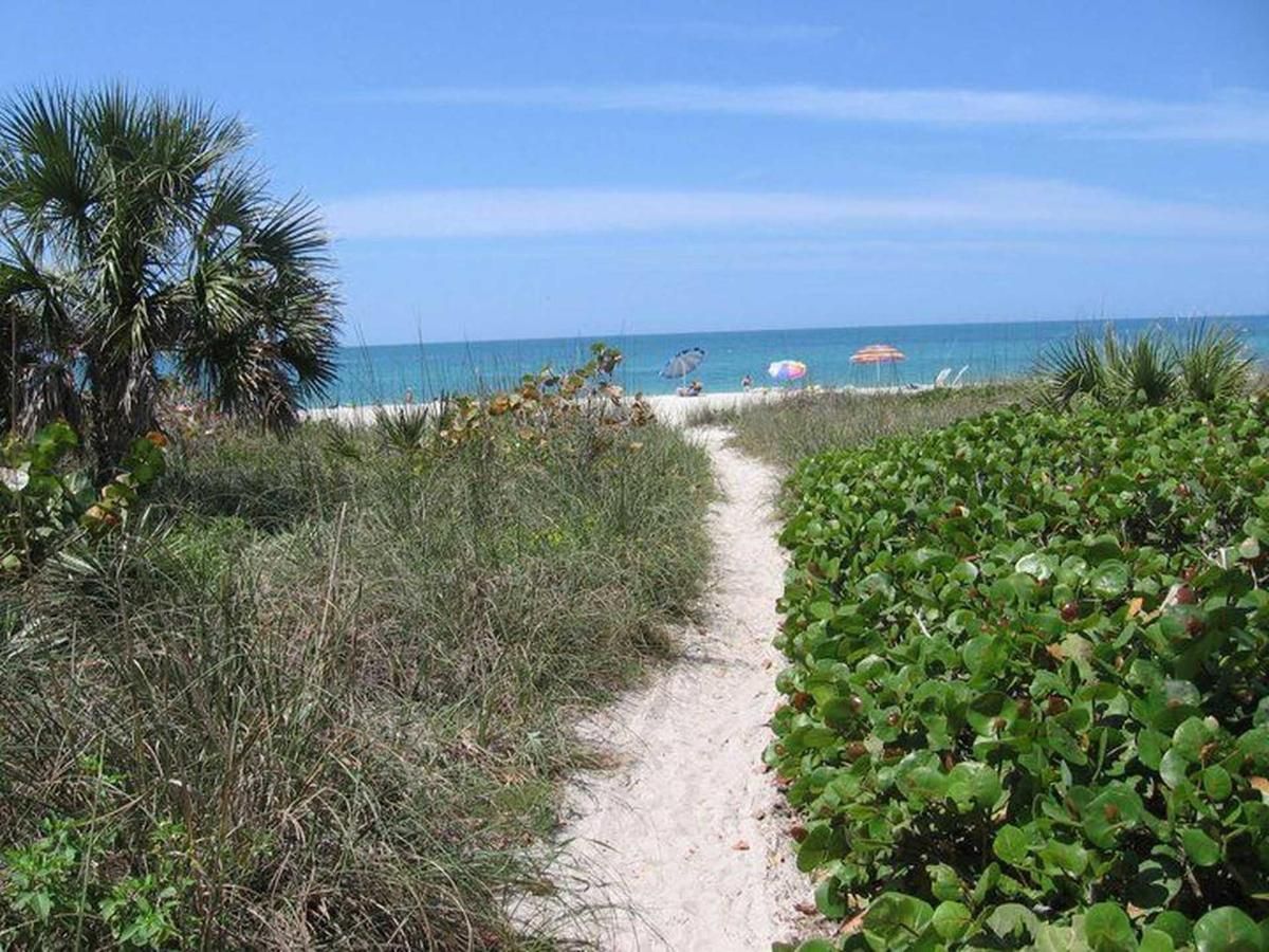 A path leading to the beach with umbrellas in the distance