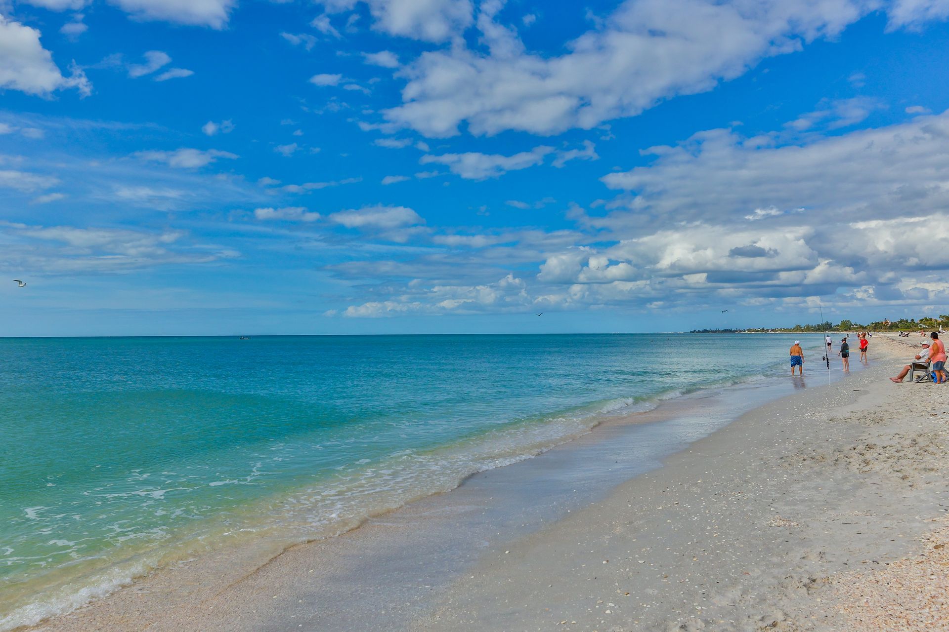 A group of people are standing on a beach near the ocean.