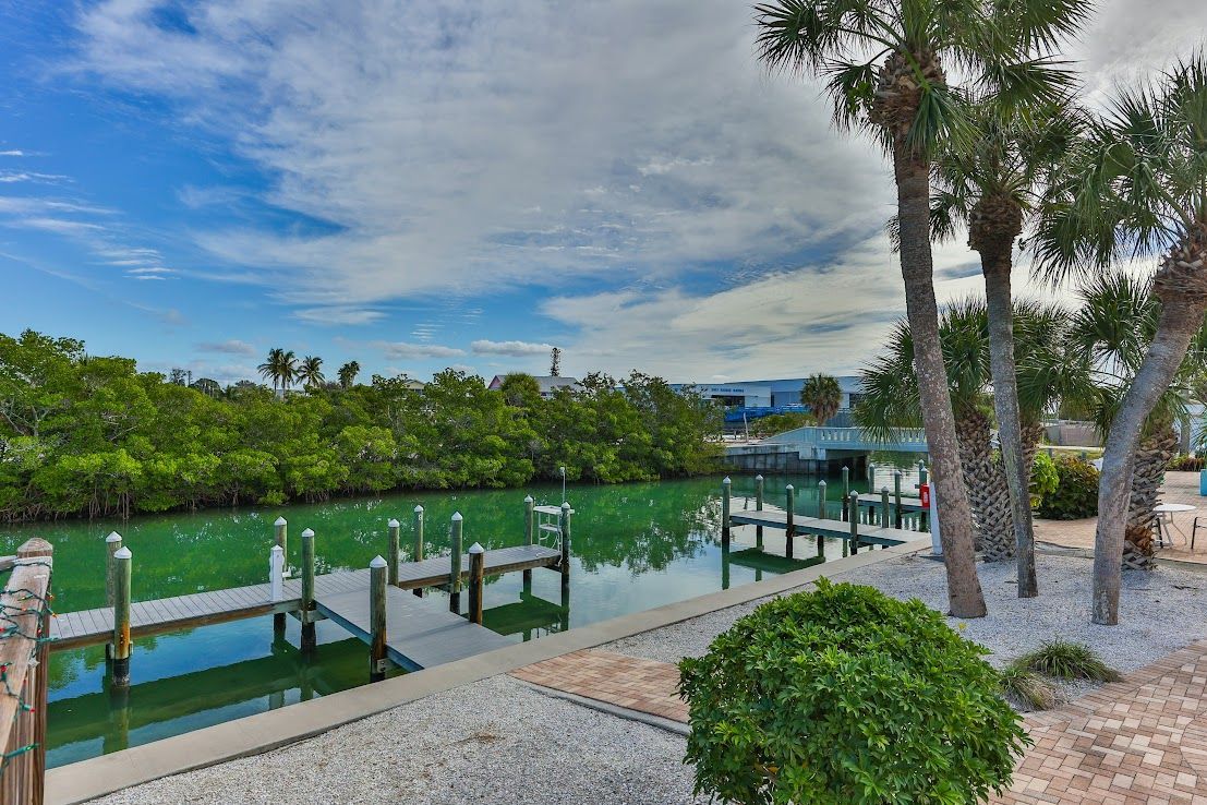 Water canal with docks, trees, and bright blue sky.