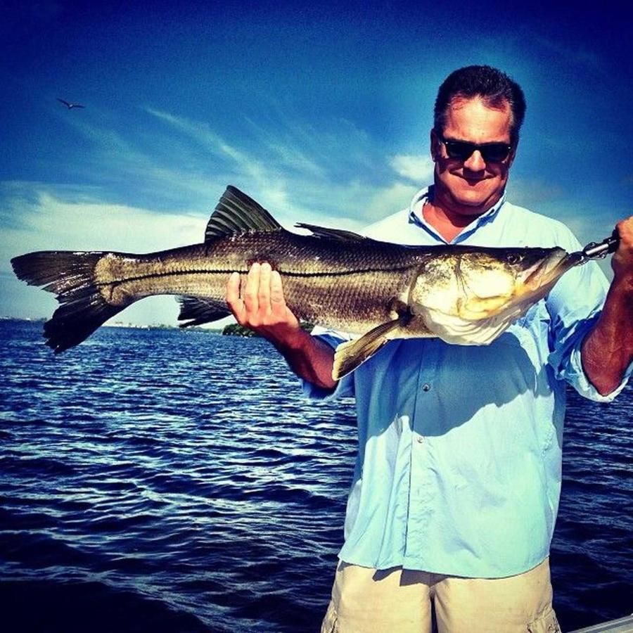 A man in a blue shirt is holding a large fish in his hands