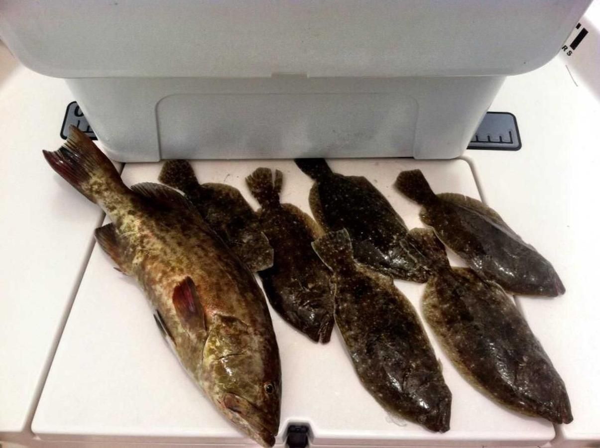 A bunch of fish are sitting on top of a white table