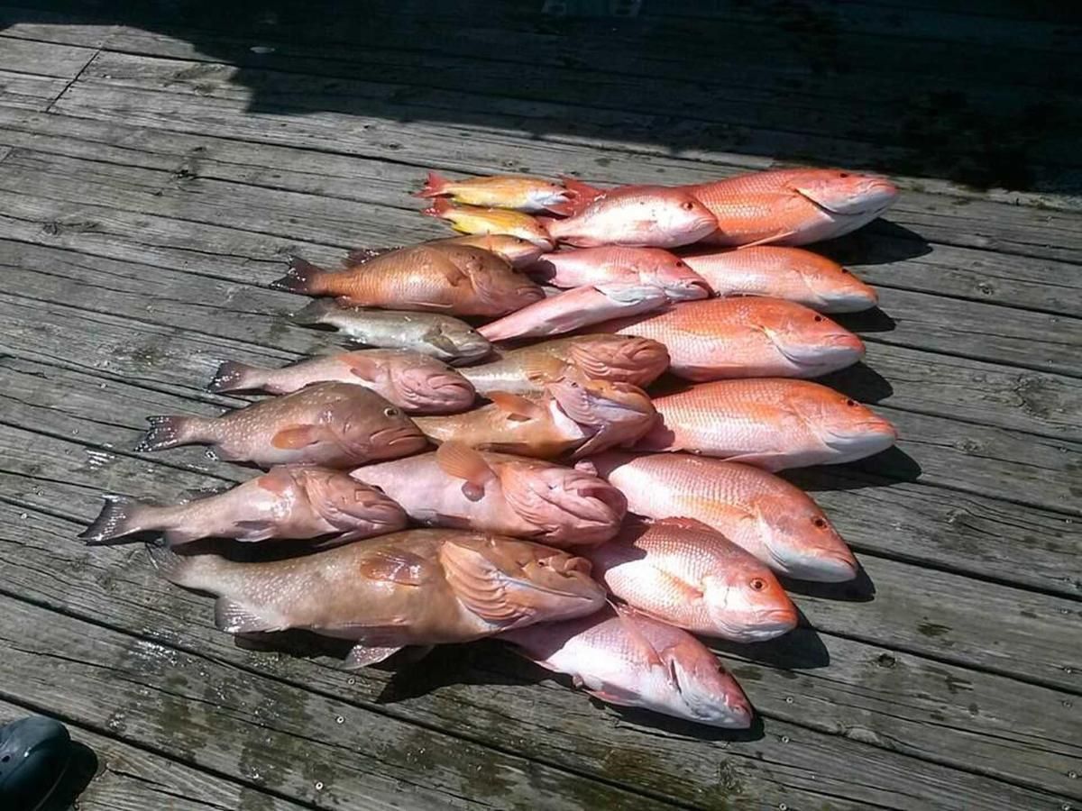 A bunch of fish are sitting on top of a wooden deck.