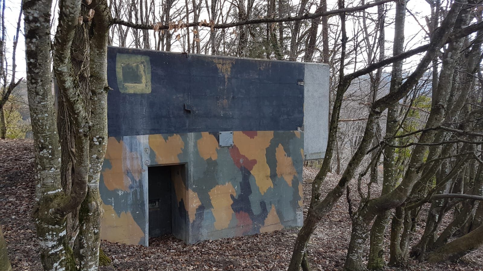 Un bunker camouflé est entouré d'arbres dans les bois.