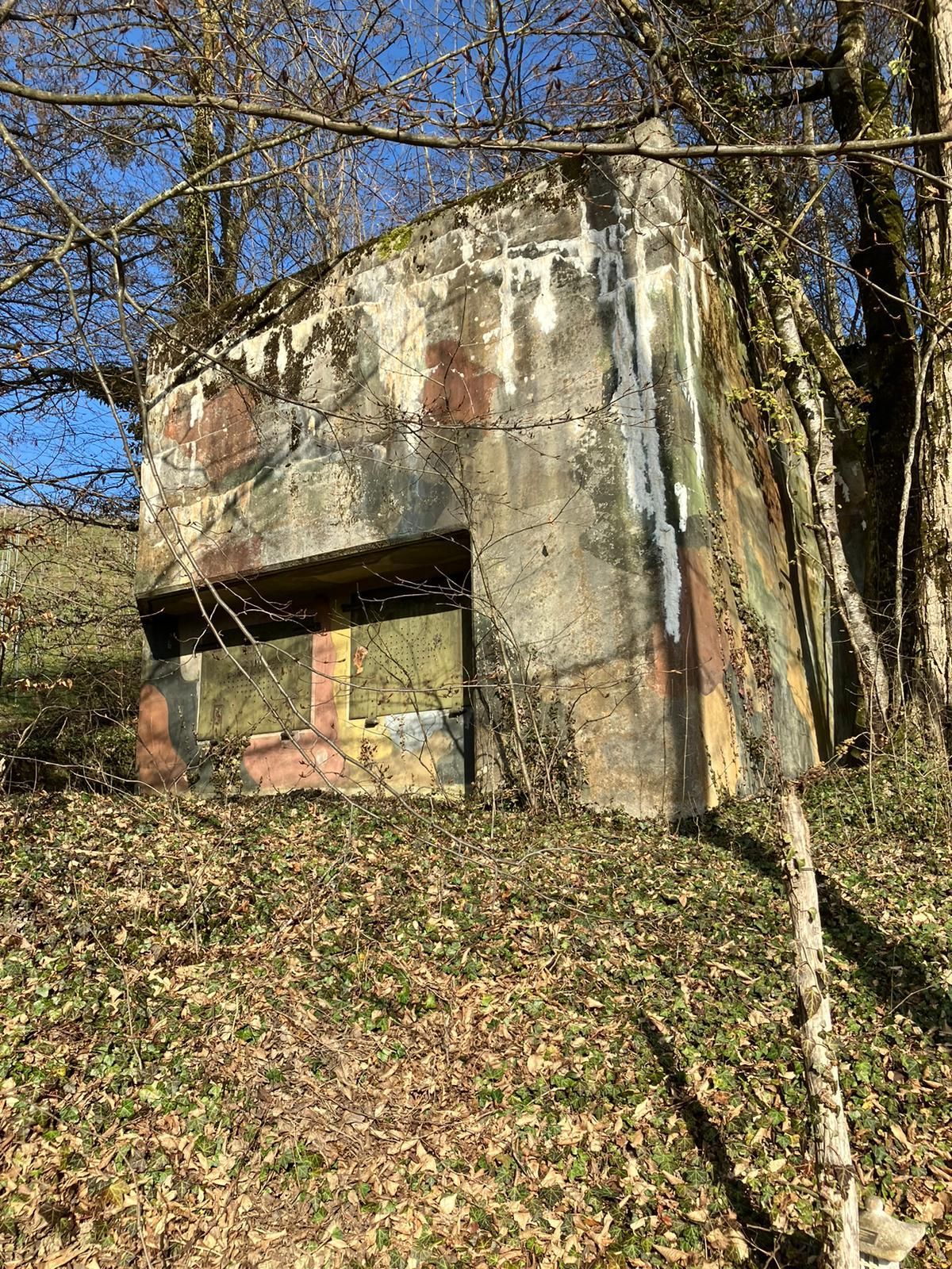 Un grand bunker en béton se dresse au milieu d’une forêt.