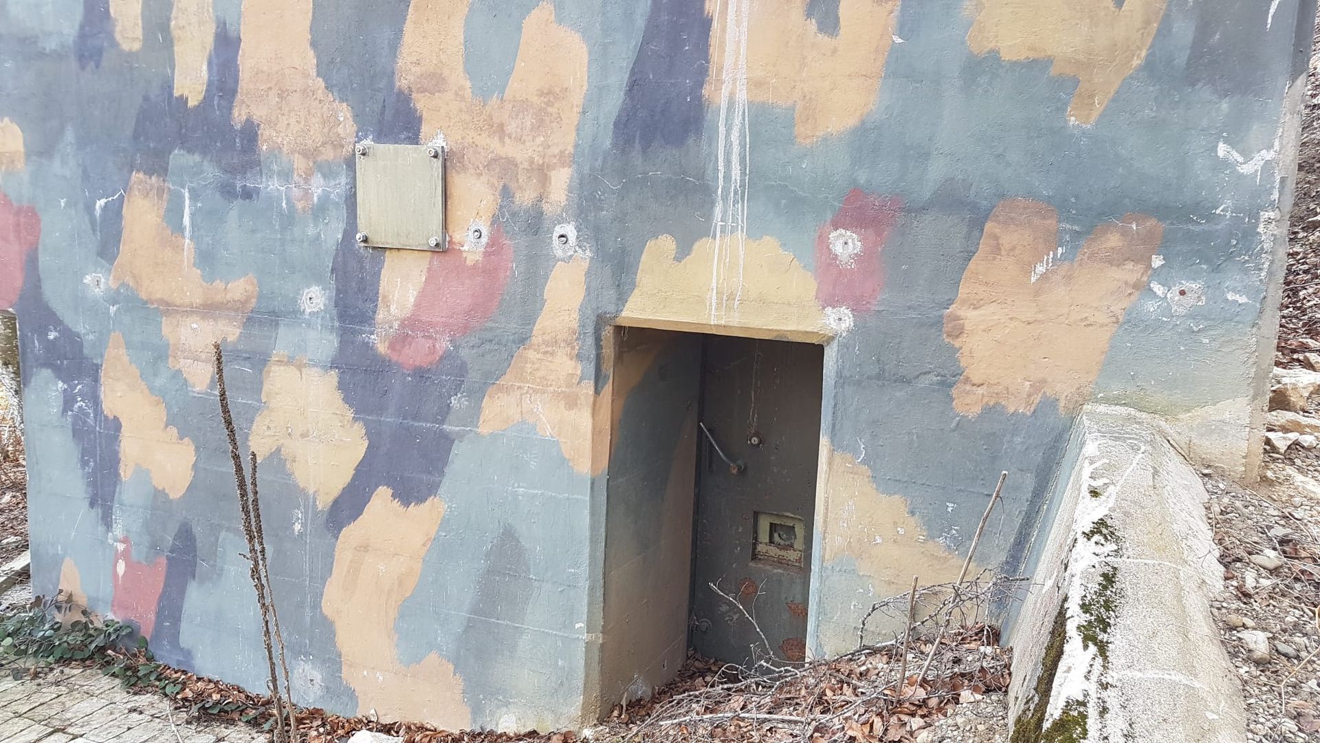 Un bunker camouflé avec une porte au milieu.