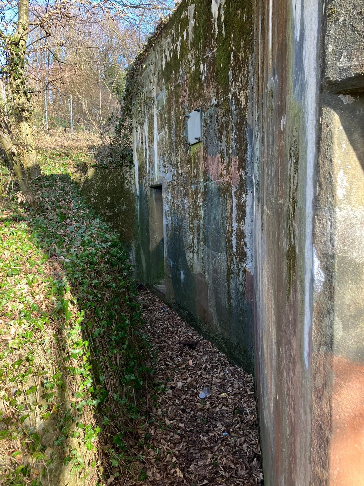 Un bunker terré au milieu d'une forêt.