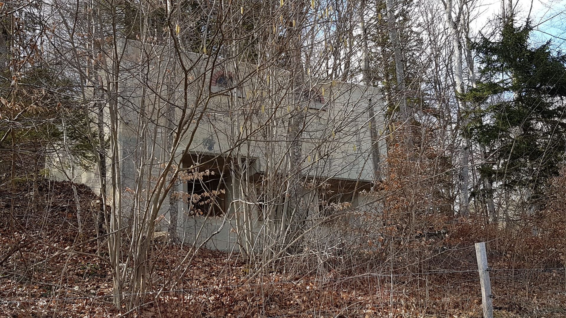 Un bunker entouré d'arbres et de feuilles dans une forêt.