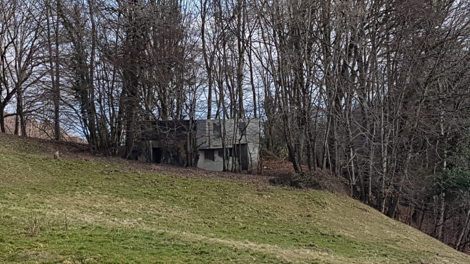 Un bunker est situé au sommet d’une colline herbeuse au milieu d’une forêt.
