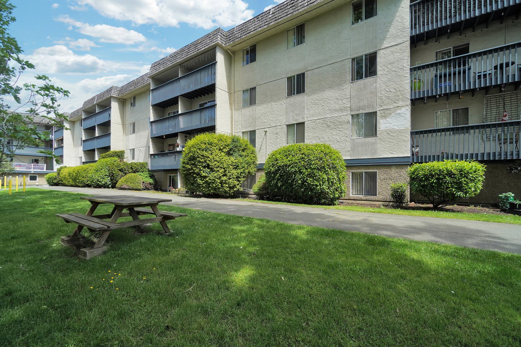 to 3868 Shelbourne St Apartments for Rent Victoria