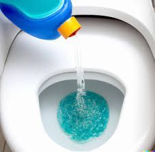 Why Drano is the Best Toilet Unclogger Liquid? (Updated)