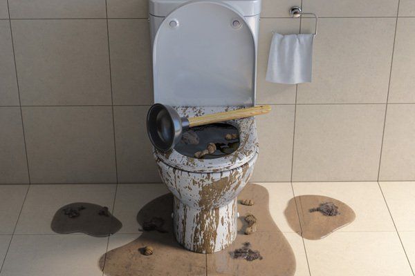 https://lirp.cdn-website.com/35b27d56/dms3rep/multi/opt/image-of-an-overflowing-toilet-and-toilet-clog+%281%29-640w.jpg