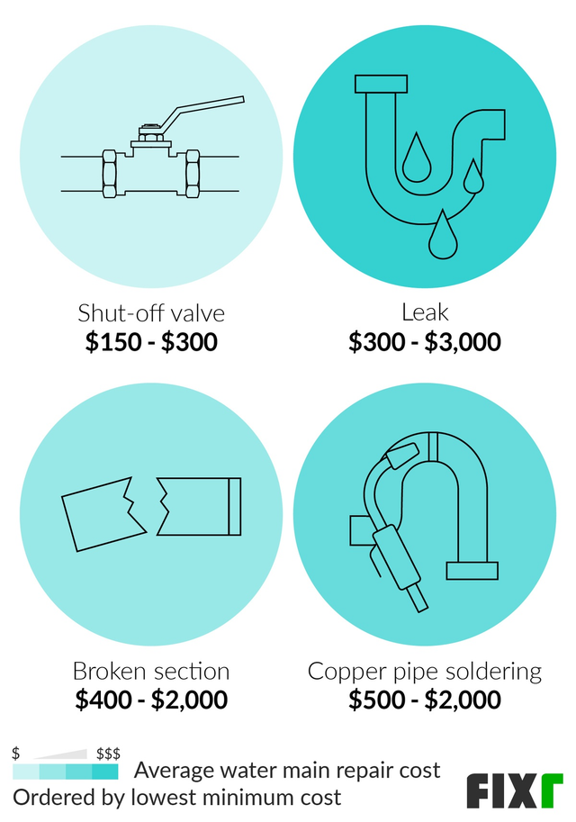 What are the costs for piping repair for a Speedy?