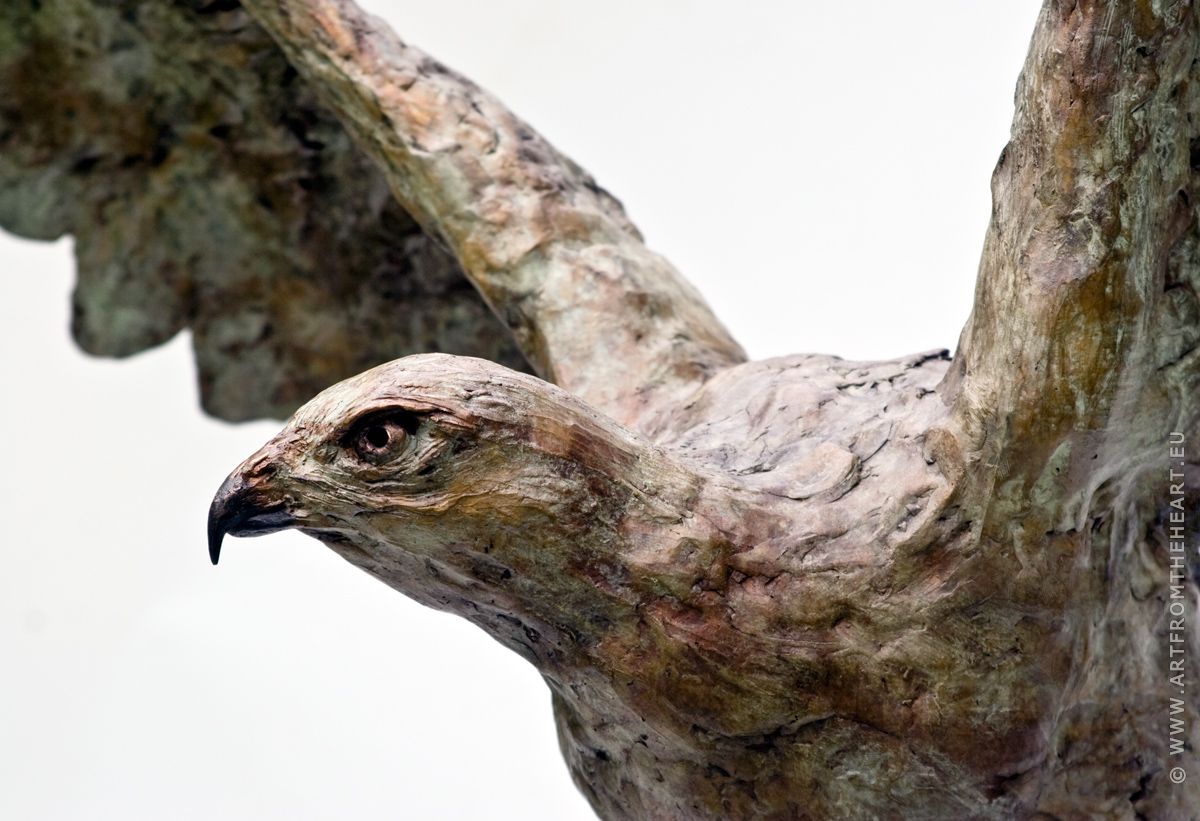 De buizerd met urn, foto 3