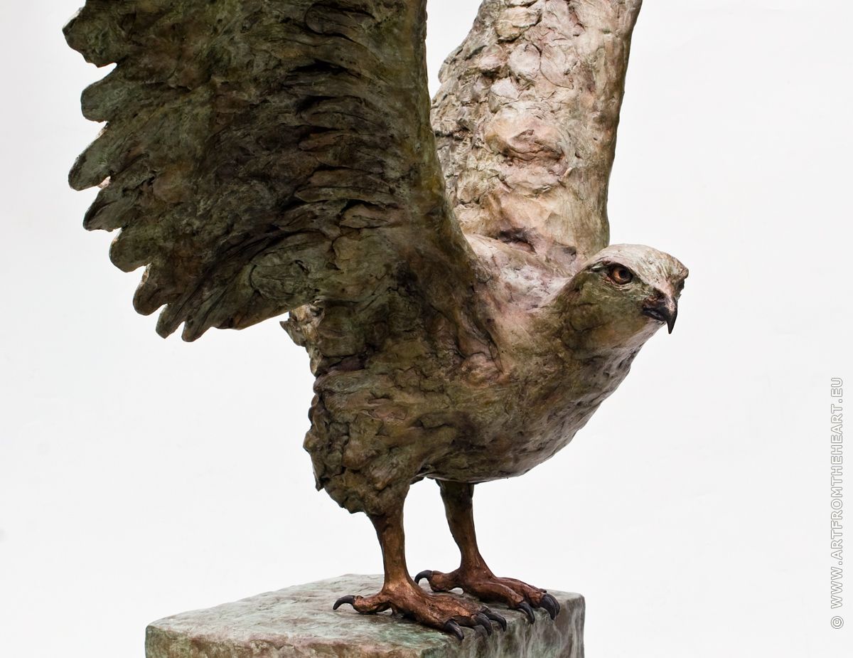 De buizerd met urn, foto 1