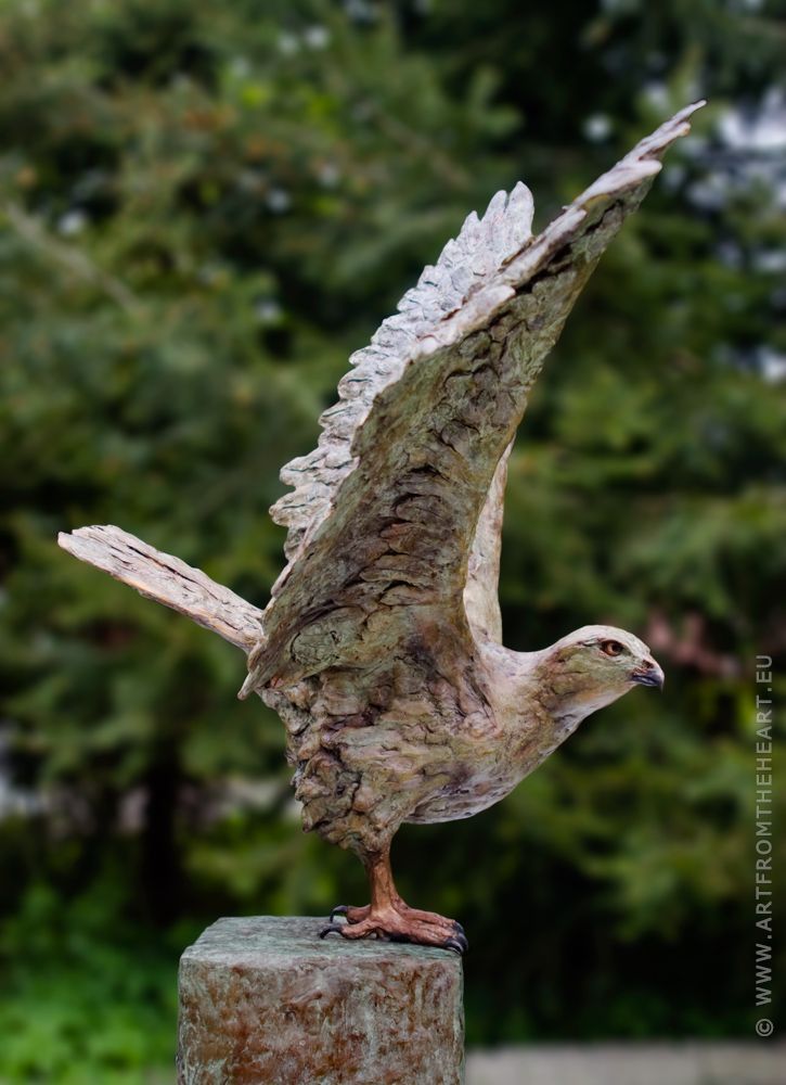 De buizerd met urn, foto 5