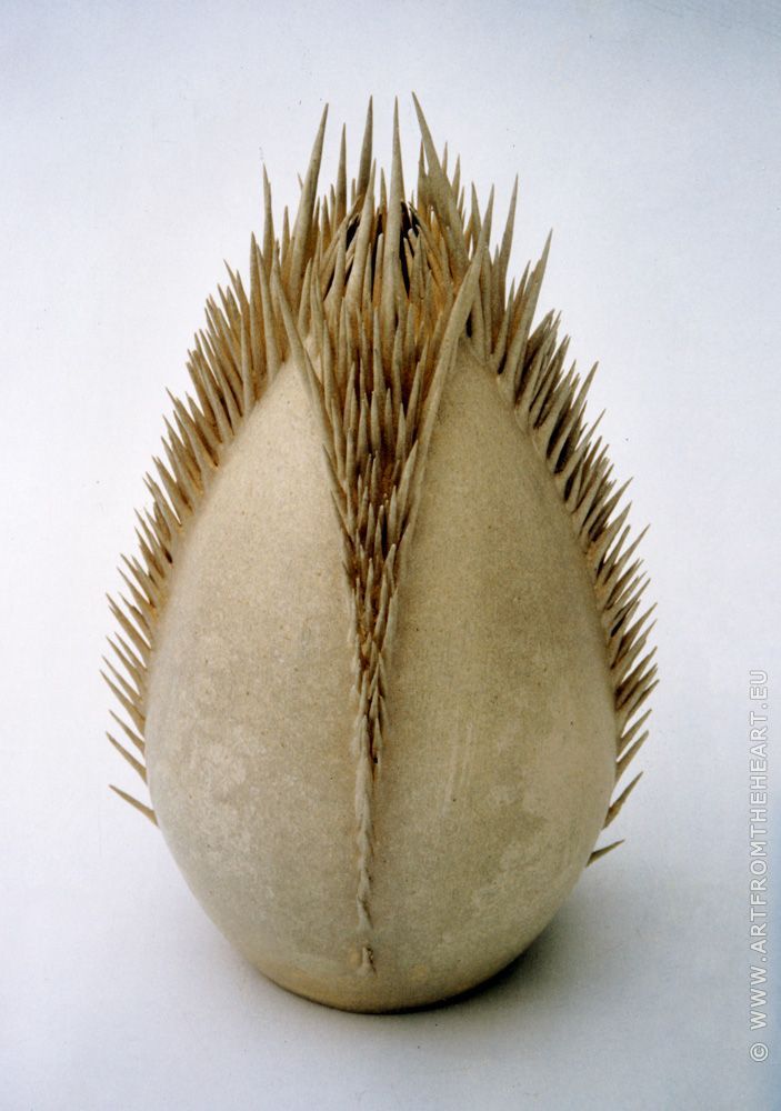 Steenanemoon gesloten