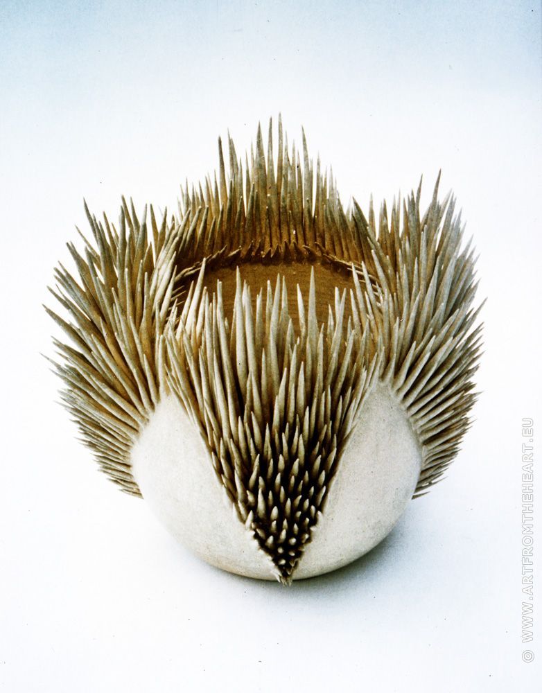 Steenanemoon halfopen