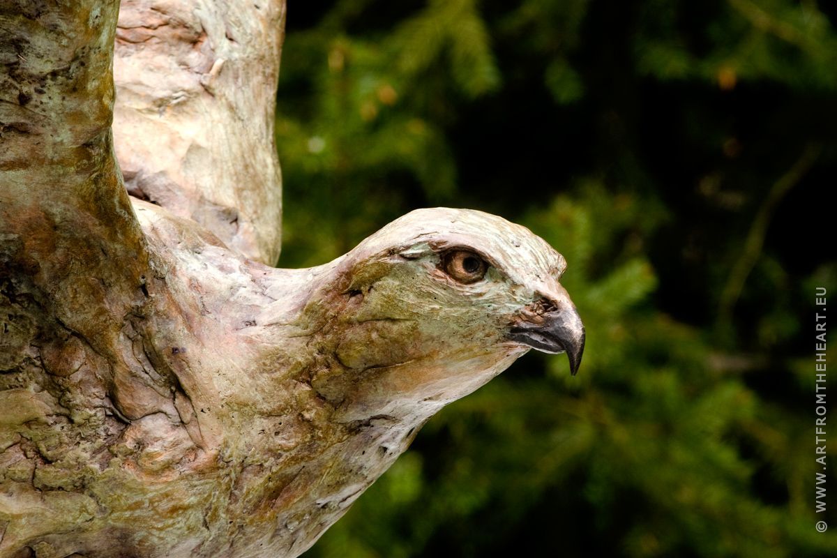De buizerd met urn, foto 4