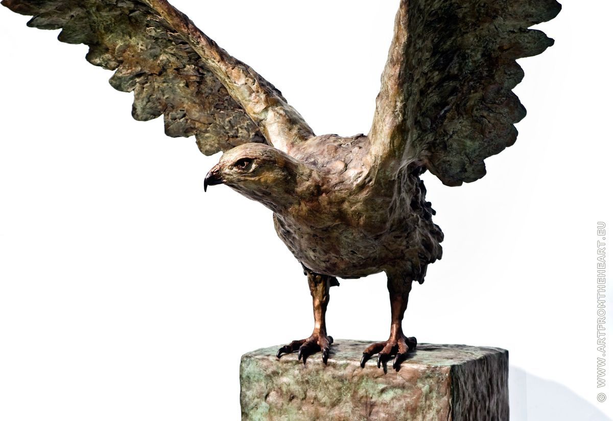 De buizerd met urn, foto 8