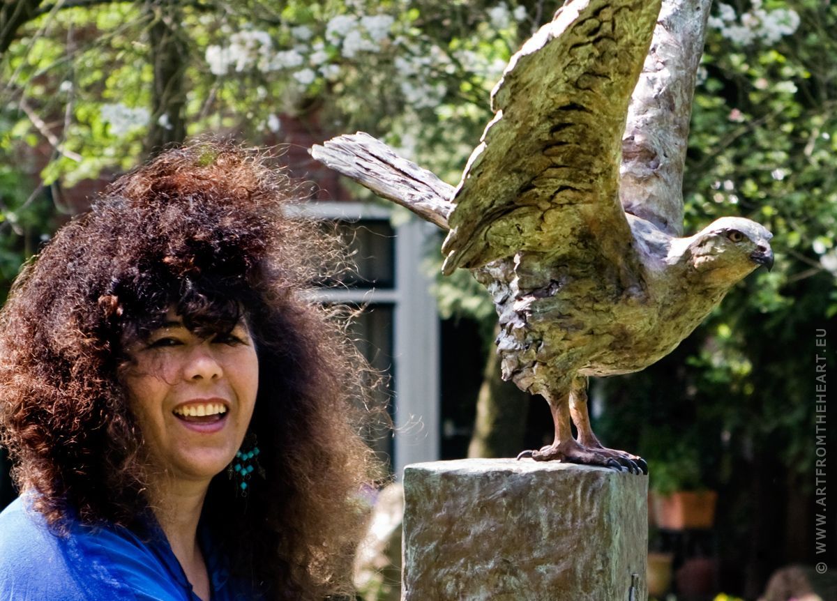 De bronzen buizerd - 2007