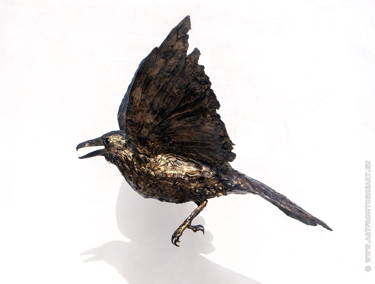 Noorse raaf 2 in was, opvliegend, van opzij gezien