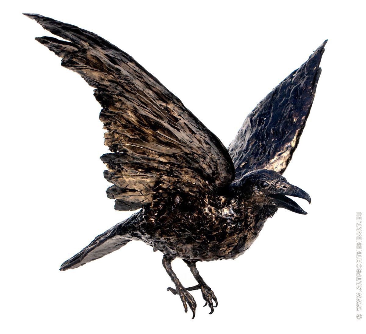 Noorse raaf 2 in was, opvliegend, schuin van voren gezien