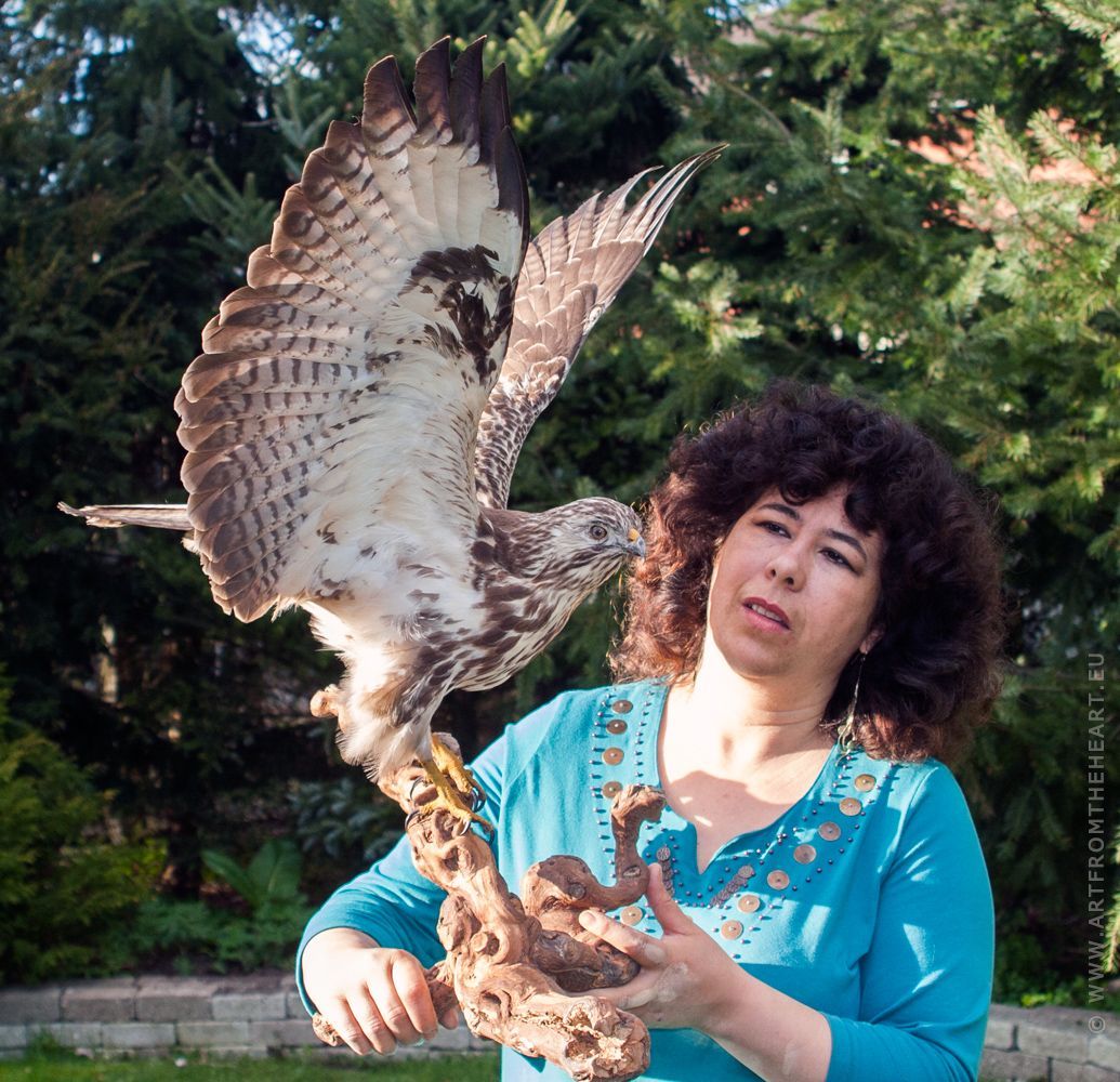 Rosita en de opgezette buizerd - 2006