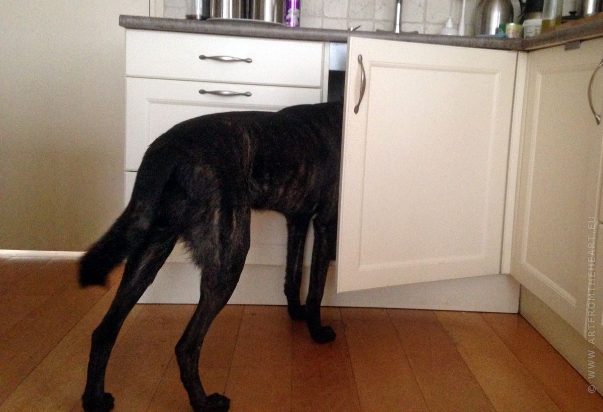 Mees inspecteert de voercontainer