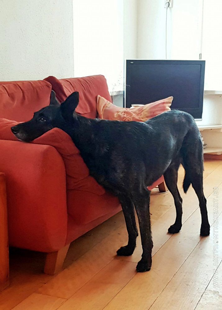 Uitrusten na de wandeling