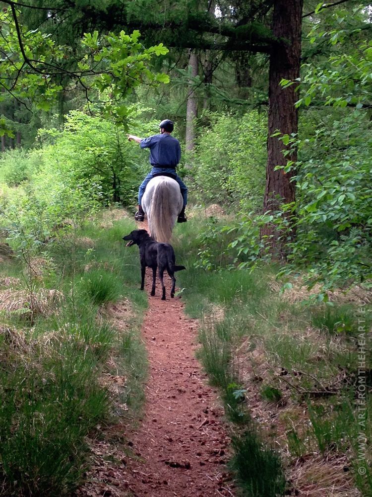 Mees, Frans en Celo in het bos