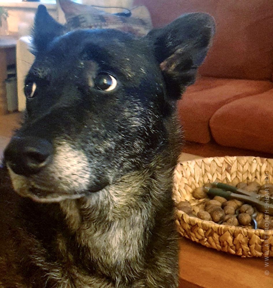 Mees vraagt om een nootje