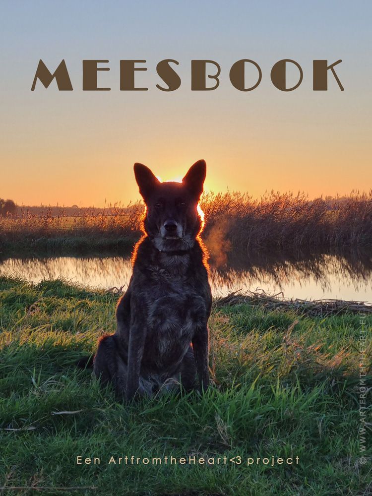 Meesbook foto 1