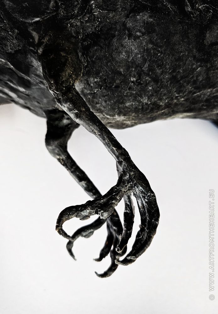 De poten van een raaf in was