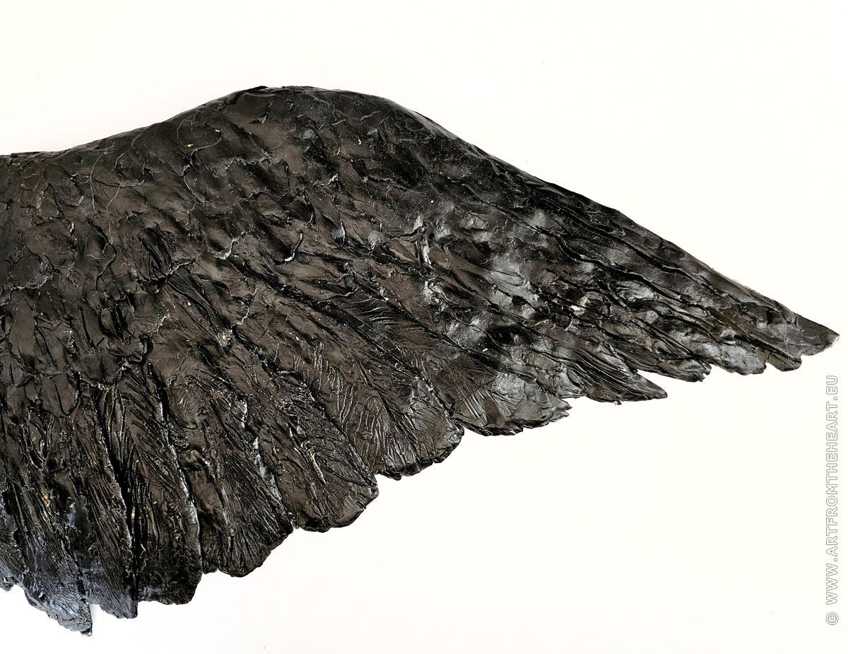 Vleugel van een raaf in was