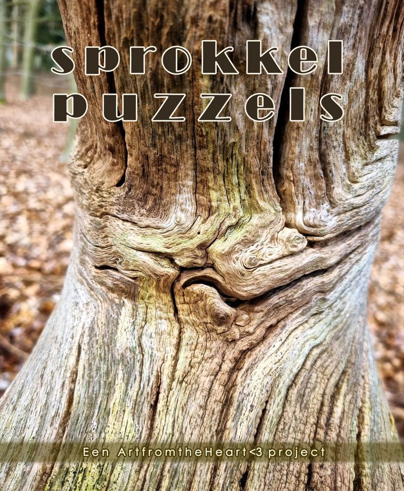 Sprokkelpuzzel 1