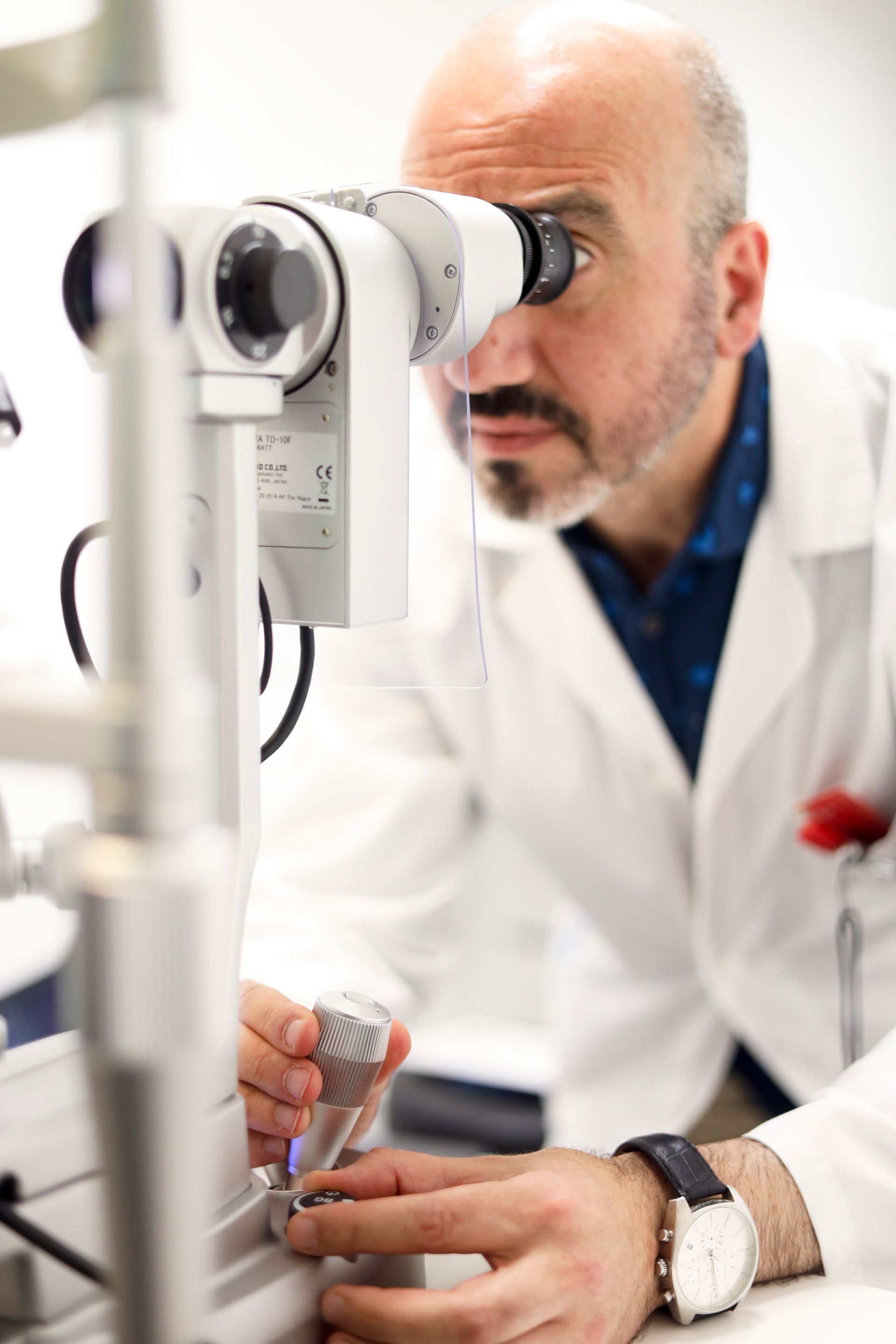 interno del negozio 19