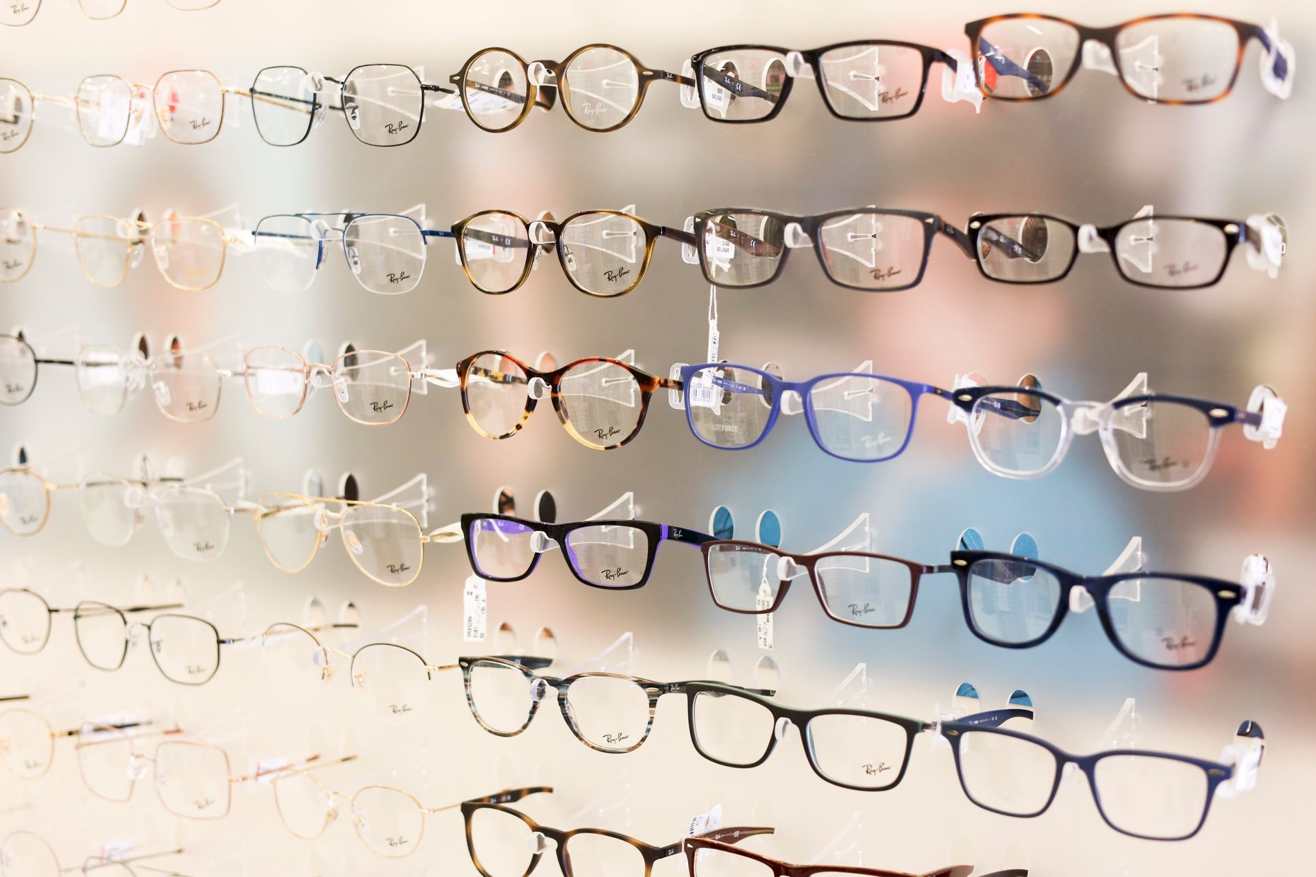 interno del negozio 20