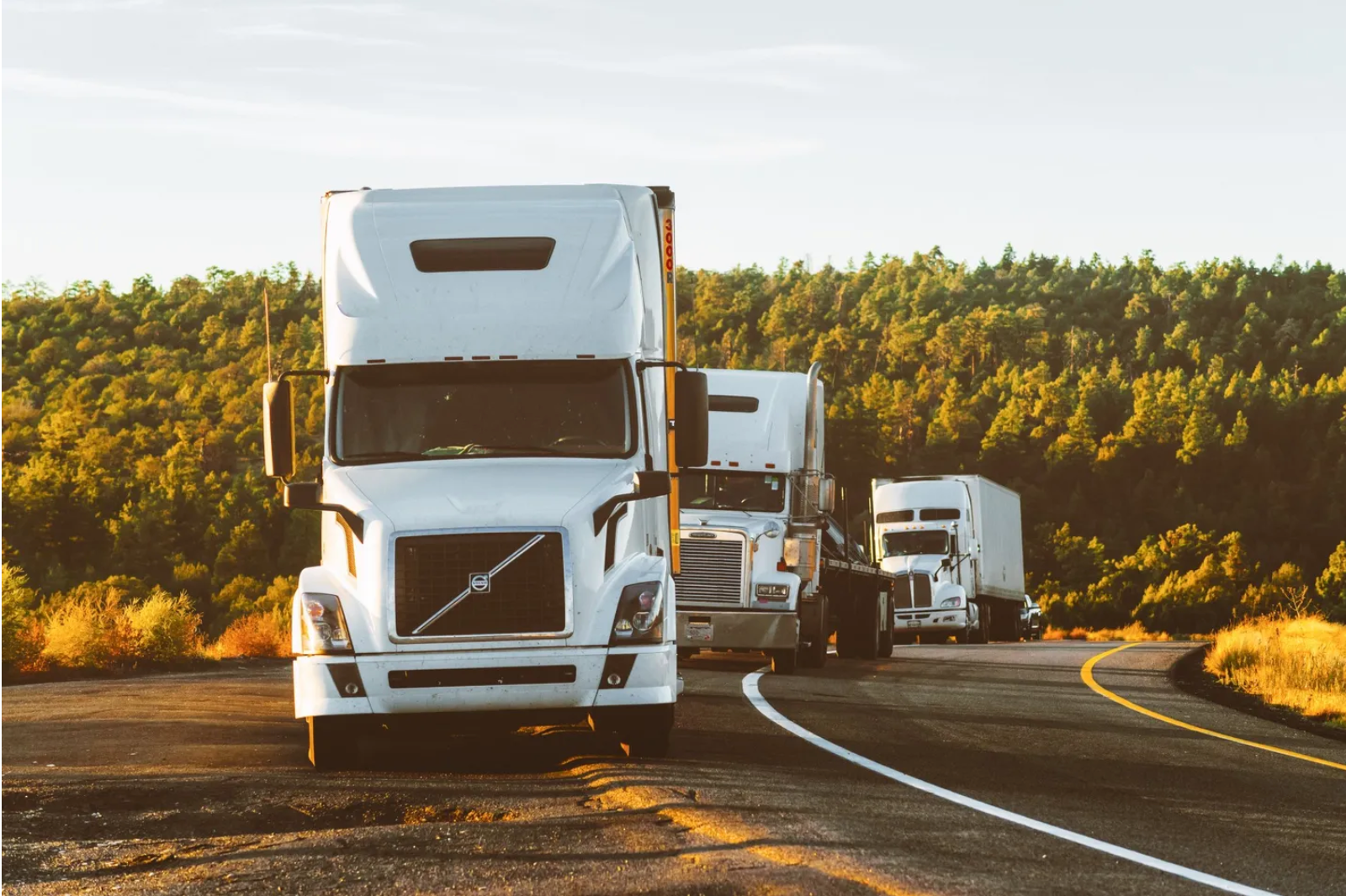 Three white semi-trucks on a curved road, driving towards the viewer, with a forest in the background.