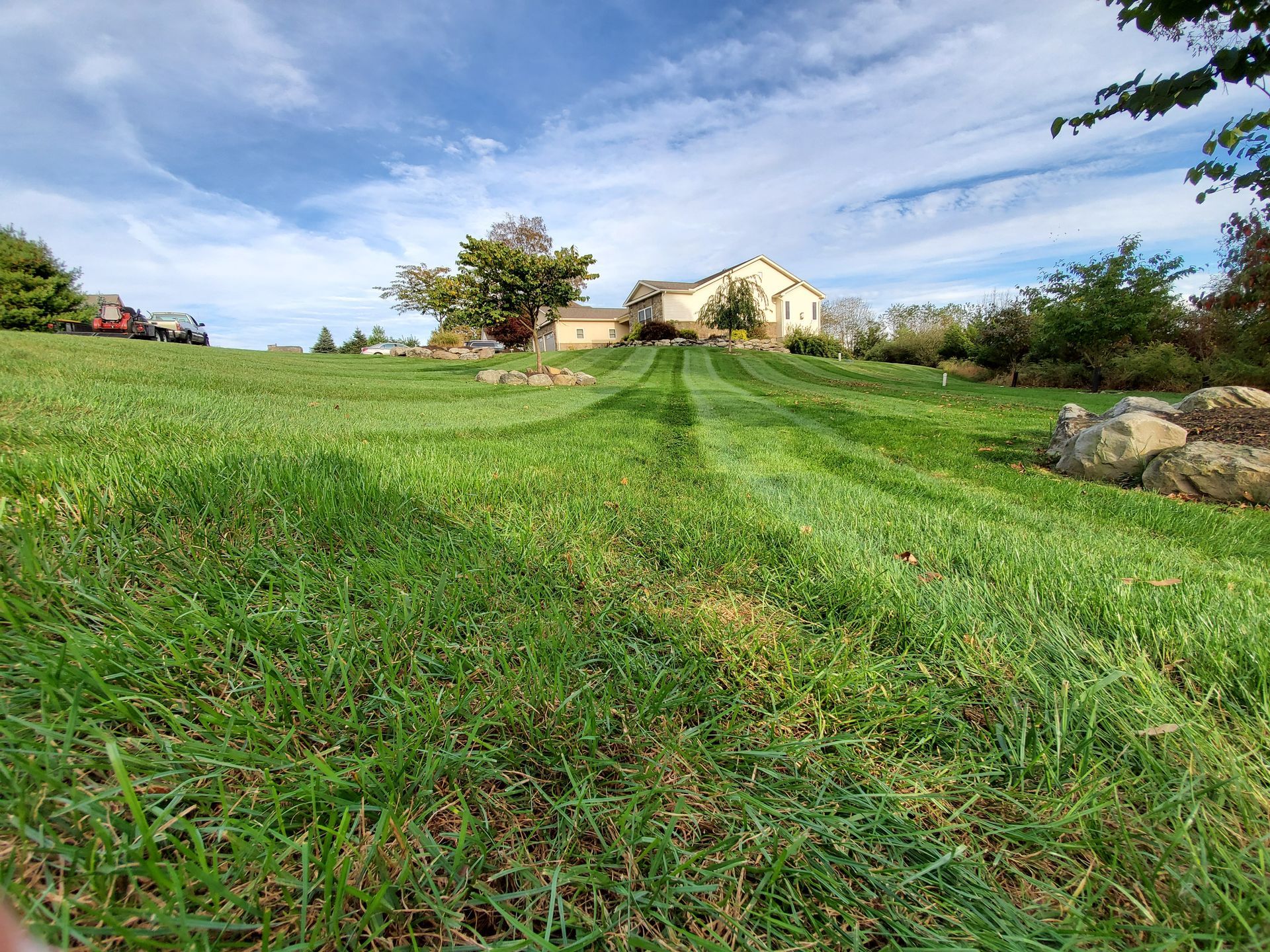 A lush green field of grass with a house in the background.