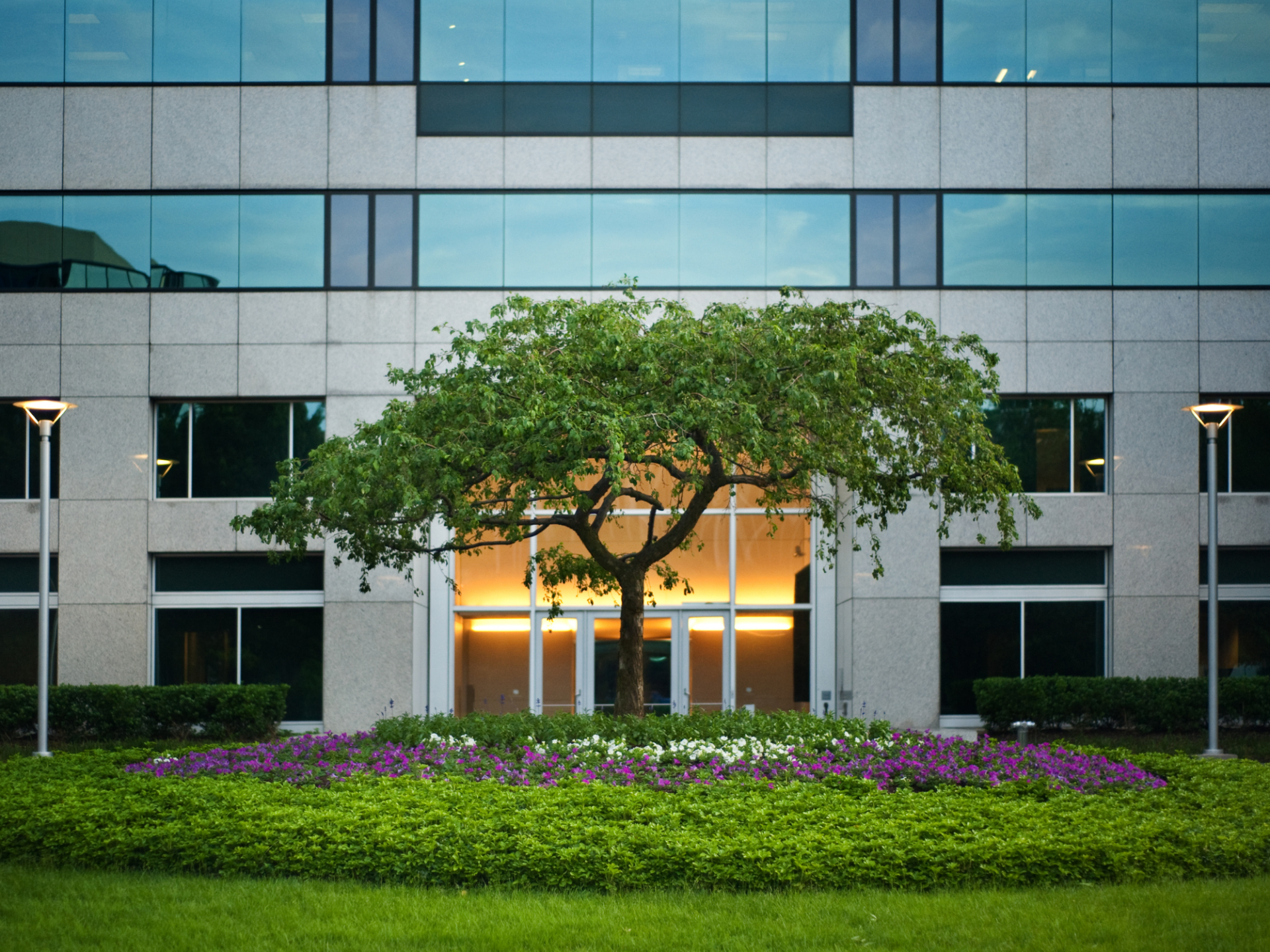 Sotack Landscapes, commercial landscaping