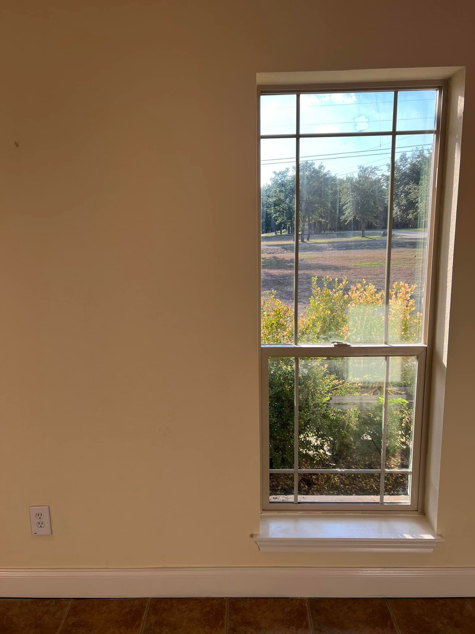 Tall, rectangular window with a grid pattern, looking out onto a sunny outdoor scene with trees and foliage.