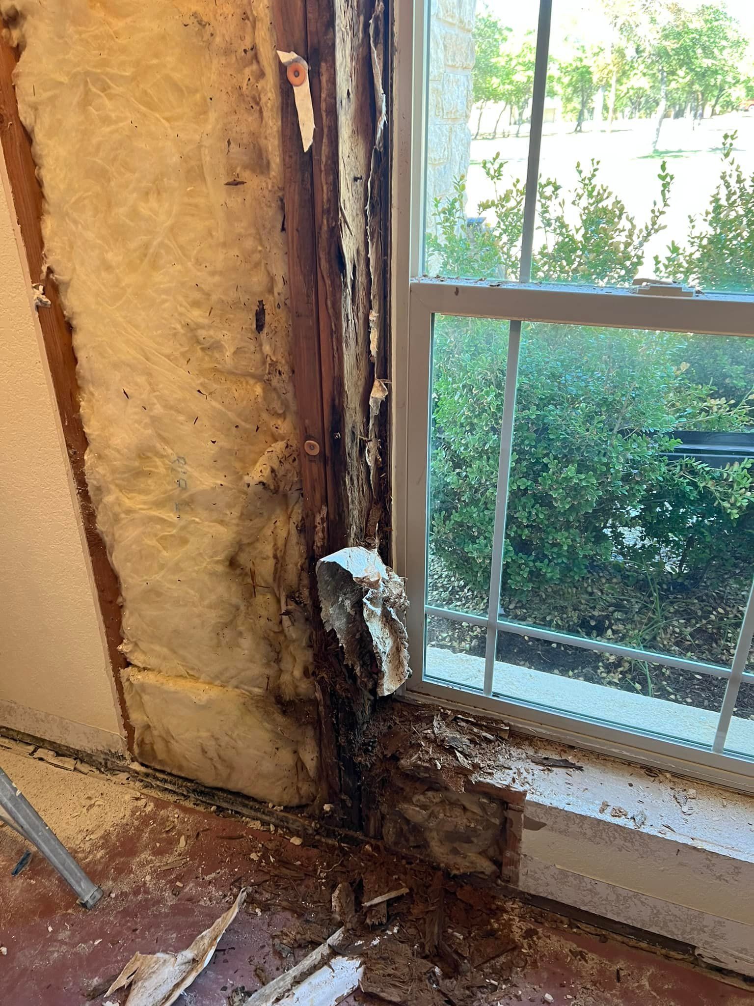Damaged window frame with rotted wood and peeling paint. Insulation and debris surround the window.