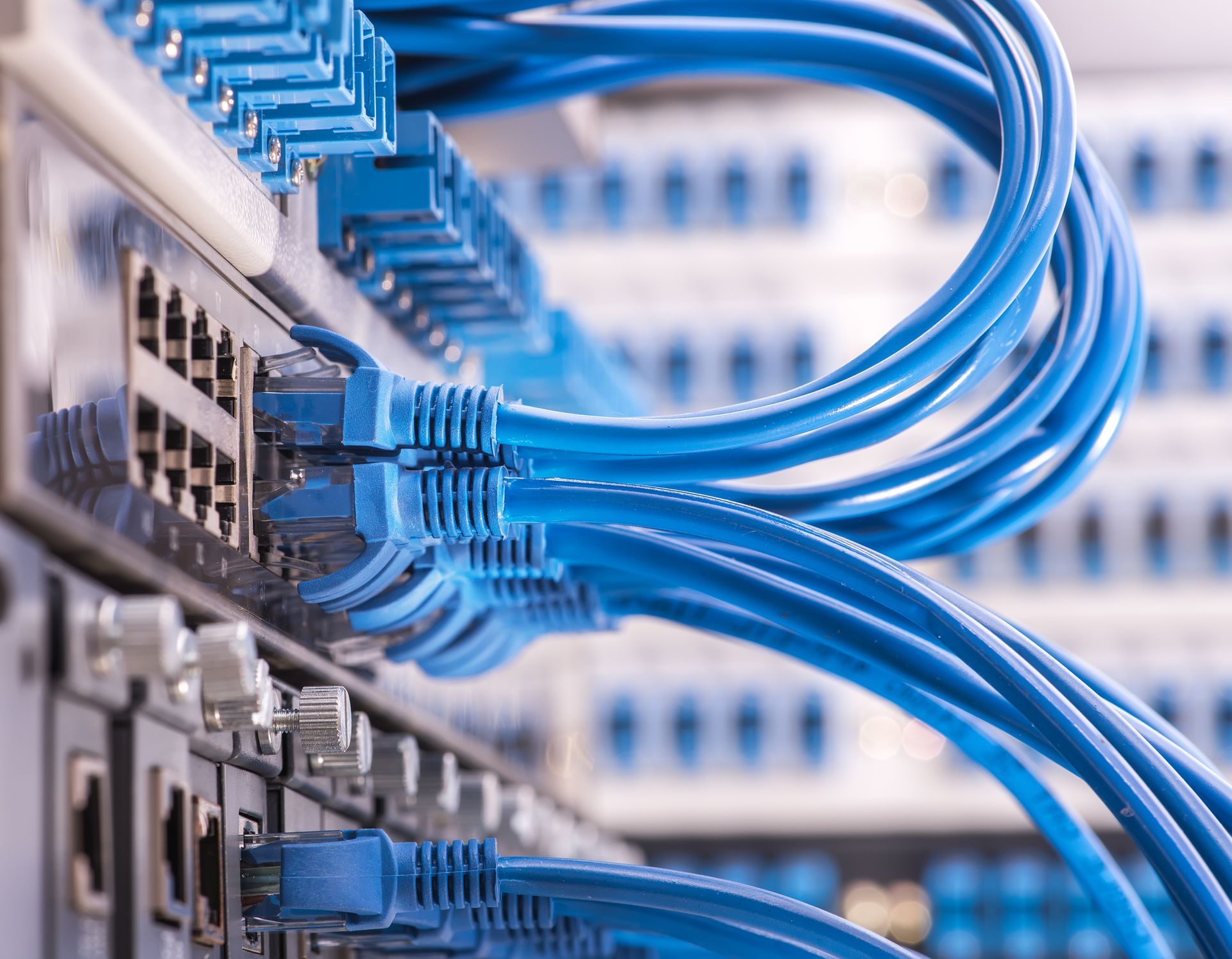 A bunch of blue cables are connected to a server in a data center.