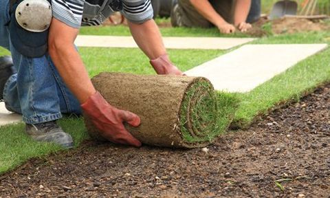 turf laying