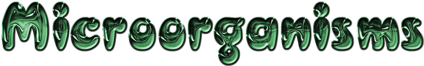 Microorganisms Microorganisms