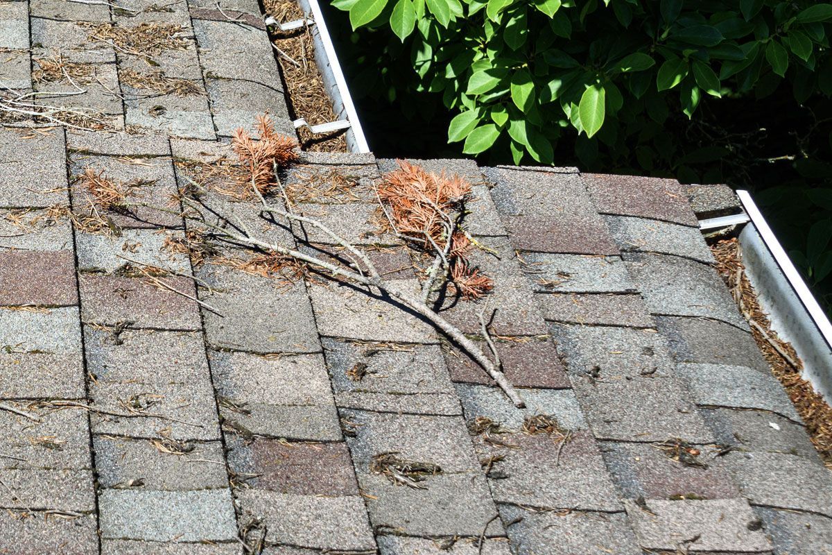 Tree branches and debris collected on a residential roof