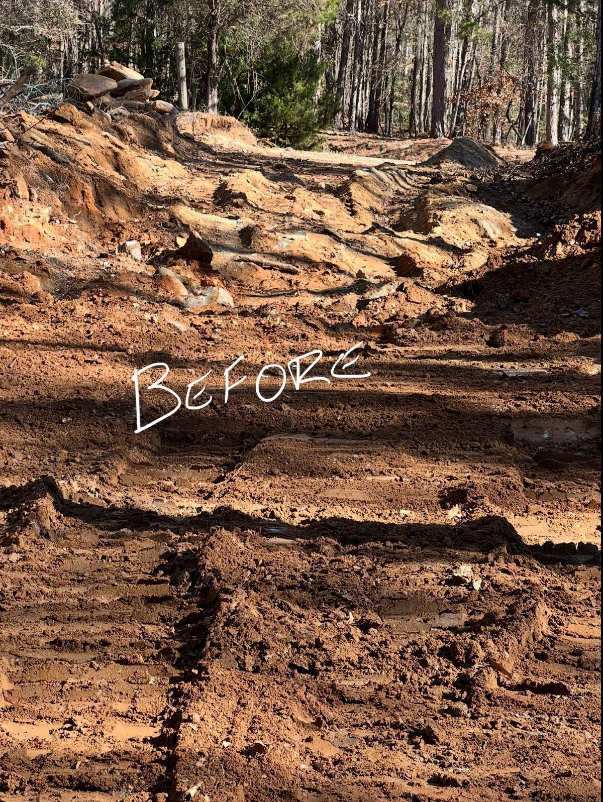 Before image of a muddy, eroded dirt path in a wooded area.