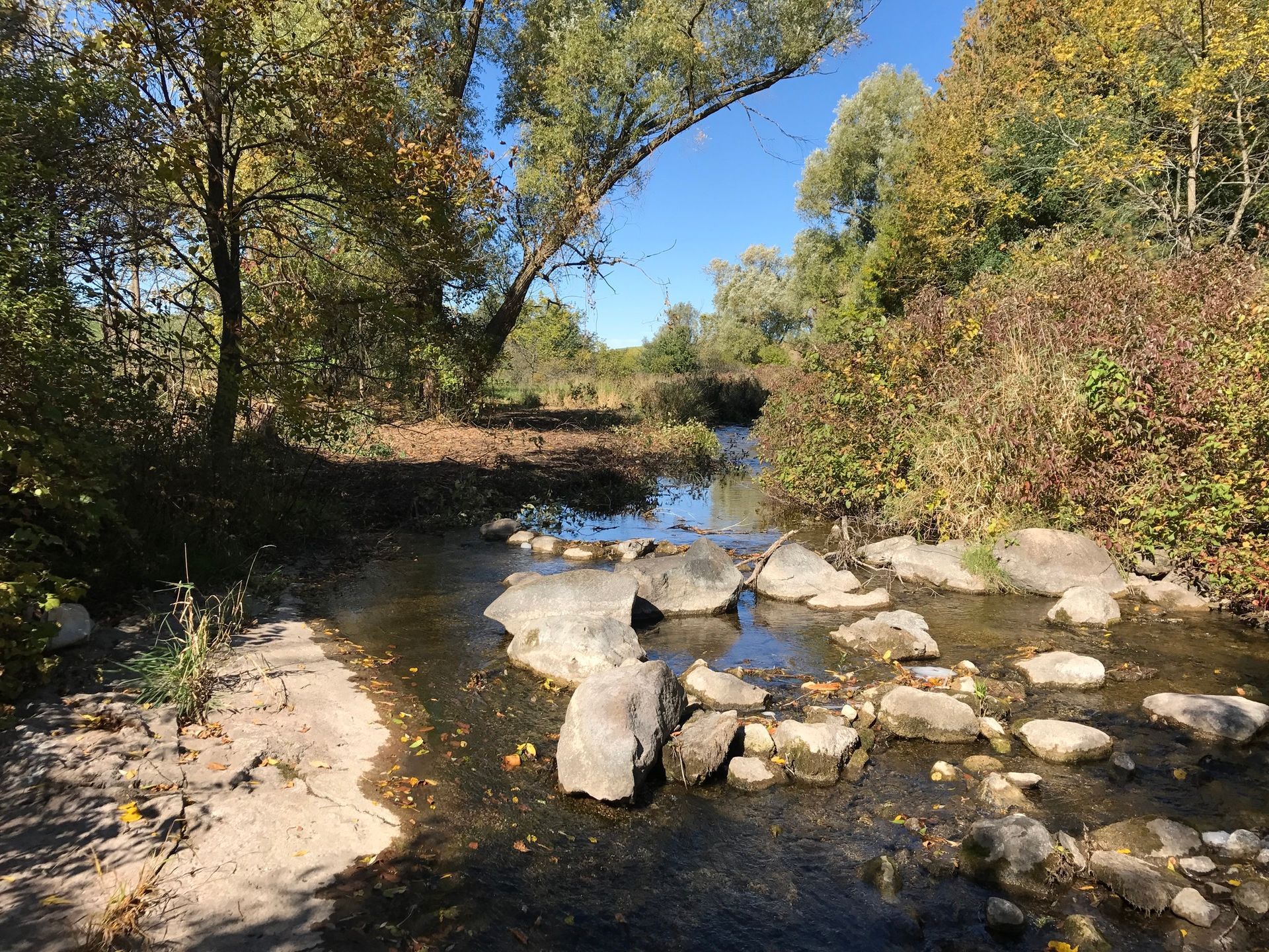 A shallow stream with rocks and surrounding trees in autumn foliage under a blue sky.