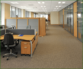 New fitted office carpet