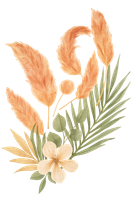 A bouquet of pink and white flowers with leaves on a white background.